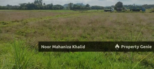 Tanah Pertanian Batu Tambun, Mukim Rambai Kedah