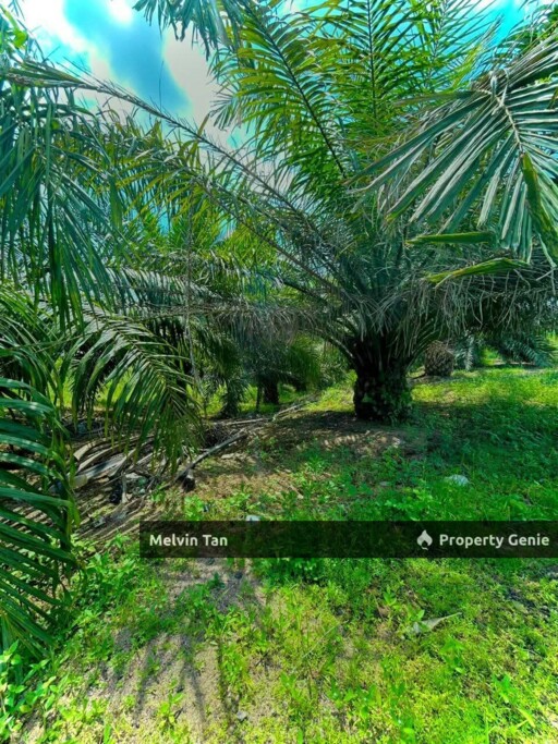 Rompin,Negeri Sembilan