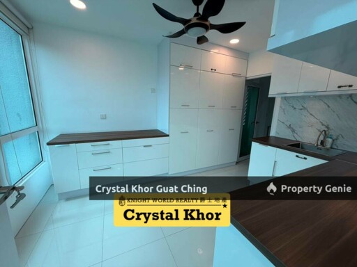 (Duplex Penthouse) | Central Park | Newly Reno | 5200sqft | Exclusive