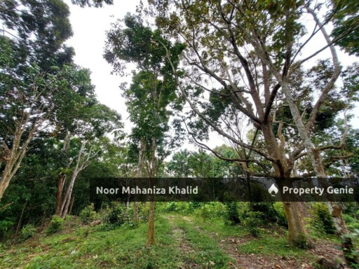 Tanah Pertanian Kampung Ibol Seberang @ Solok Lanjut Manis, Terachi Kuala Pilah