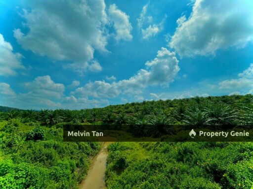 Rompin,Negeri Sembilan