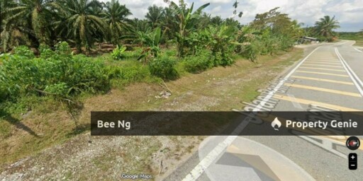 Pontian / Jalan Parit Haji Adnan / Agricultural Land / 1st layer Flat Terrain