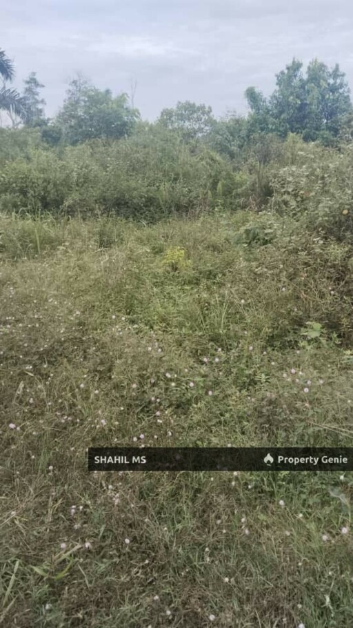 KLUANG JOHOR | KAHANG TIMUR | TANAH PERTANIAN | 6 EKAR | RIZAB MELAYU