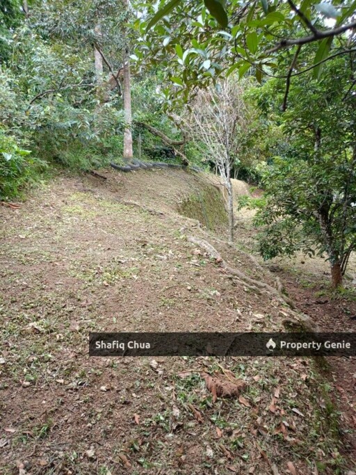 Malay Reserve Land Rembau, Negeri Sembilan For Sale