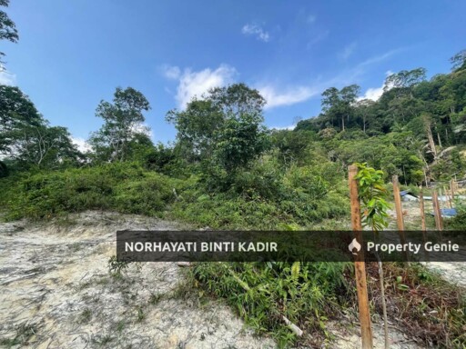(HOT AREA) TANAH KEBUN DI BUKIT KUIN 2, KUANTAN