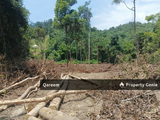 [FEEEHOLD] 3 Ekar Pekan Rasa, Sebelah Sungai. Batang Kali