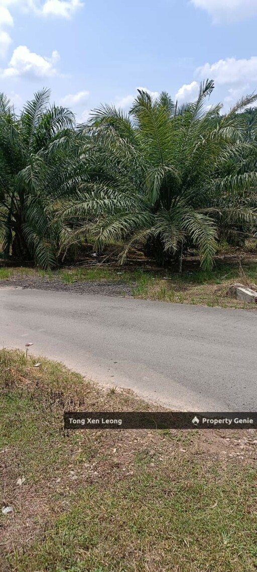 Rompin, Negeri Sembilan