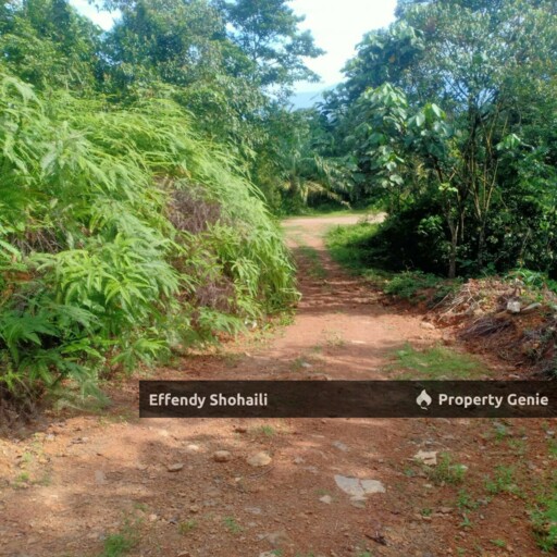 SUNGAI PEDANG HULU YAM AGRICULTURAL LAND