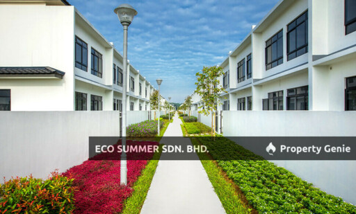 Eco Summer
