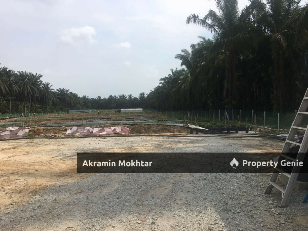 Freehold & Non Bumi | 4.9 ekar di Kg Bukit Cherakah