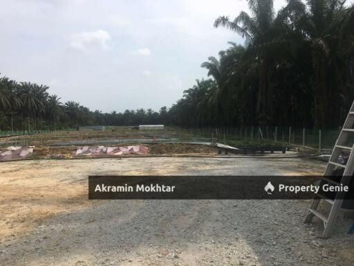 Freehold & Non Bumi | 4.9 ekar di Kg Bukit Cherakah