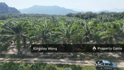 Sungai Siput Jalong Tinggi Freehold Agricultural Land 5 from Main Road