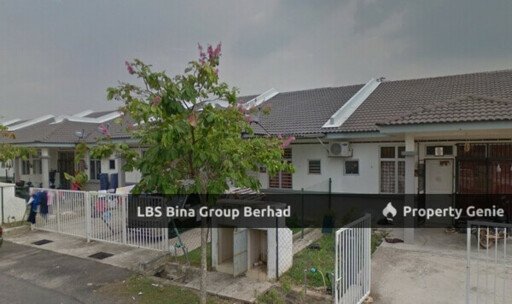 Iris Garden 2