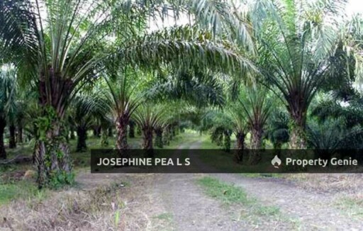 Agricultural Land for Sale in Titi 知知港, Negeri Sembilan 森美兰
