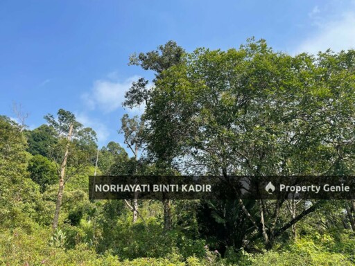 (HOT AREA) TANAH KEBUN DI BUKIT KUIN 2, KUANTAN
