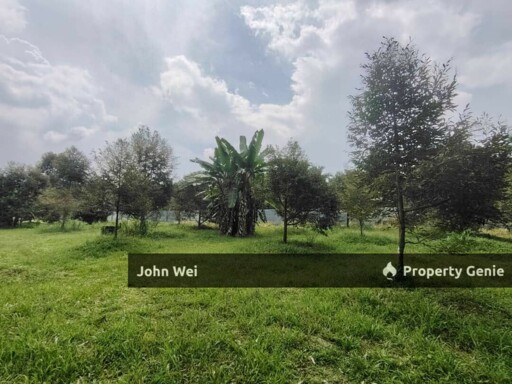 🔥Agriculture Durian Farm For Sale🔥