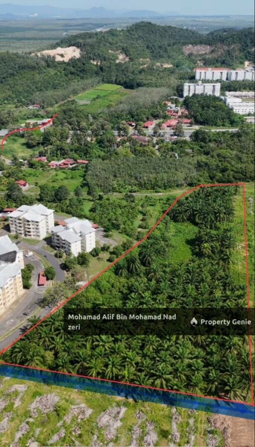 Tanah Ladang Kelapa Sawit untuk Di Jual | Geran Individu