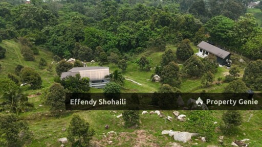 KUALA KANGSAR DURIAN ORCHARD WITH BUNGALOW
