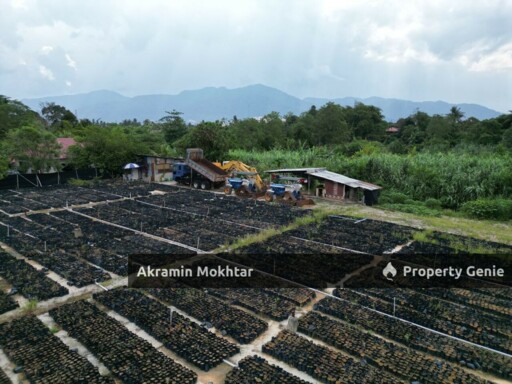 1.6 Acre DIRECT MAINROAD LAND CHEMOR IPOH