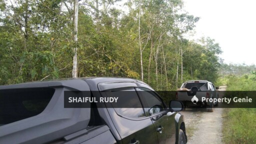 TANAH PERTANIAN untuk Dijual di Kampung Bukit Tingkat, Mukim Sanggang, Temerloh, Pahang