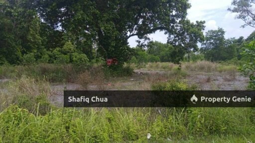 Prime Land for Sale in Pekan Pahang