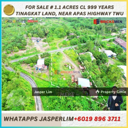 1.1 Acres Tinagkat Agricultre Land 999 Years