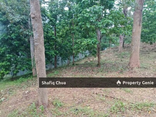 Beautiful Orchard Land for Sale in Ulu Melaka, Langkawi