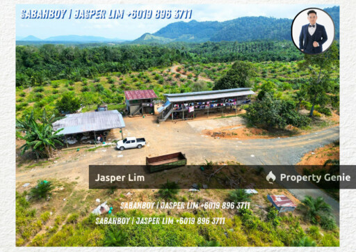 Kunak Plantation Land
