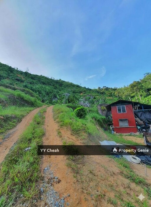 Sungai Siput Durian Farm Freehold with mountain water