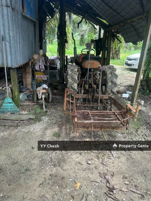 Jeram Agri Land, Perak - Freehold - Palm oil + bired nest, normal car can go