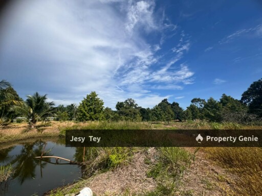 Parit Abdul Rahman, Pontian, Johor (Durian Farm) Land for Sale