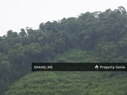 SEGAMAT JOHOR || LABIS || TANAH PERTANIAN || 1.3486 EKAR || RM125,000.