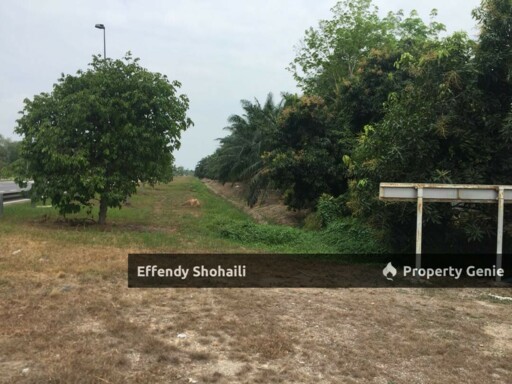 MUAR PARIT BUAYA AGRICULTURAL LAND