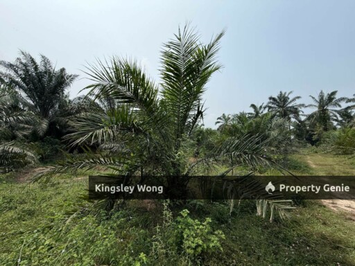 Sungai Siput 2 Acres Land Road Side Land Flat Land