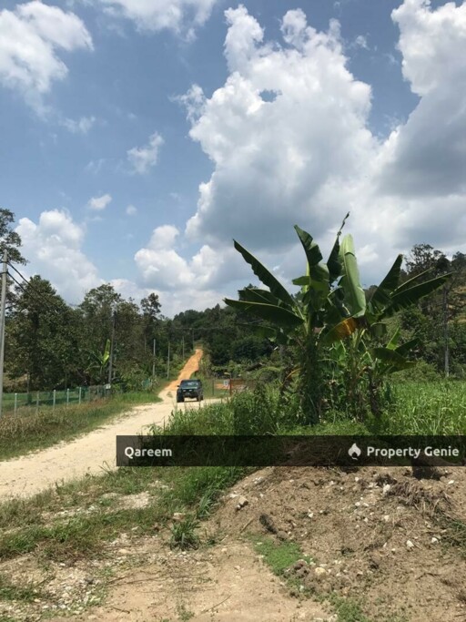 2.98 Ekar Tanah Pertanian Hulu Tamu Batang Kali. Sesuai Bina Rumah