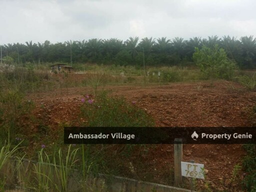 Ambassador Village