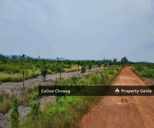 Padang terap, kedah P002