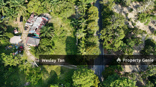 Jasin Jln Tehel Freehold Mainroad 9.9acres Matured Palm Oil Agri Land