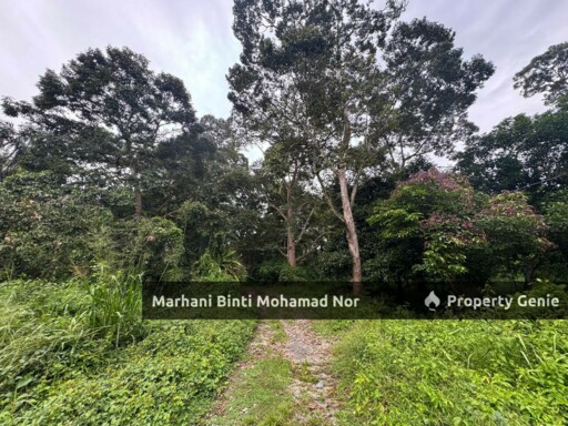 Dusun Matang Batu 18 Hulu Langat – Freehold Malay Reserve