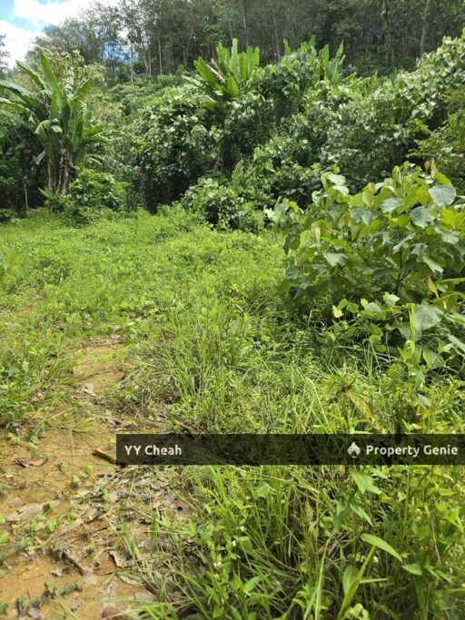 Kampung Baru Liman Kati, Kuala Kangsar Freehold 3.2 Acres with mountain water