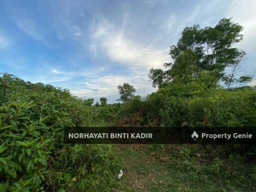TURUN HARGA‼️ 🔥 TANAH PERTANIAN UNTUK DIJUAL – PANTAI SEPAT, KUANTAN 🔥