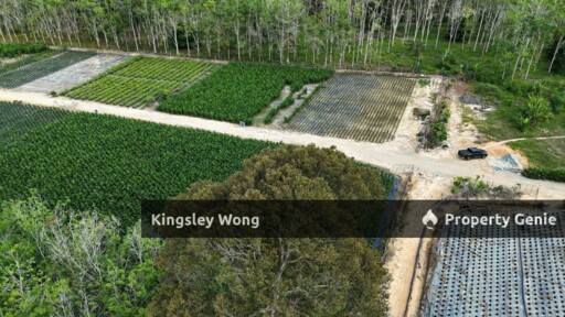 Liman Kati, Kuala Kangsar, Perak Freehold 3.15 acres Agricultural Land