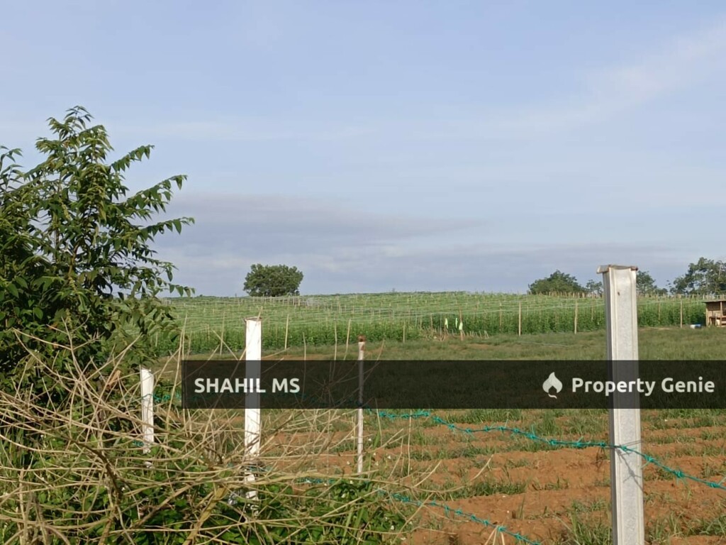 sp0076 || PASIR GUDANG JOHOR || FELDA CAHAYA BARU || TANAH PERTANIAN || 7.166 EKAR || RM2,190,000