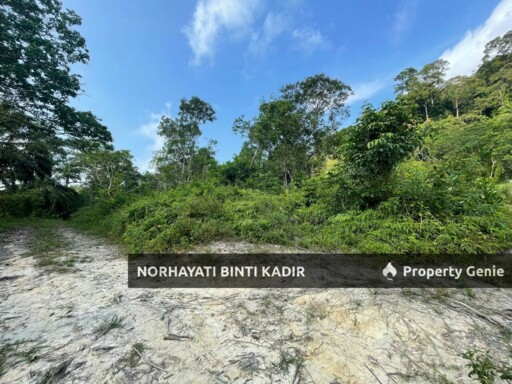 (HOT AREA) TANAH KEBUN DI BUKIT KUIN 2, KUANTAN