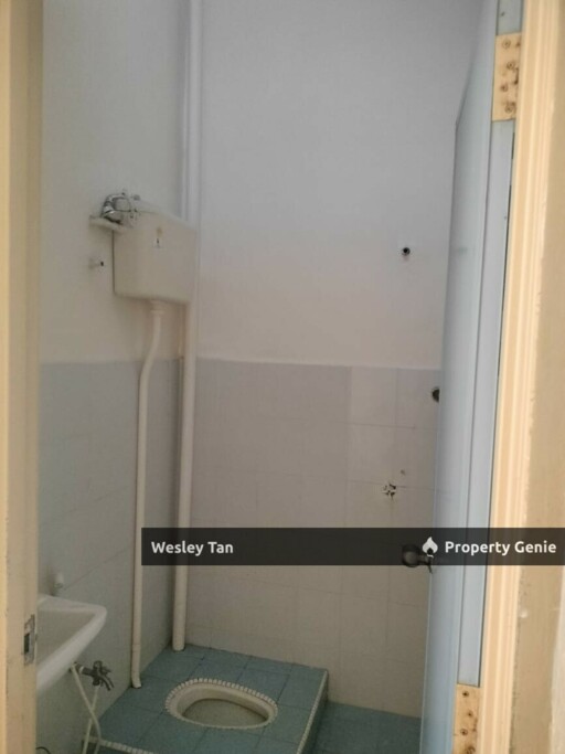 Pulau Gadong Single Storey 3 Rooms Partly Furnished 20x65 10mins to Melaka Town