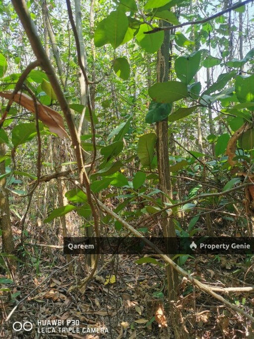 [Corner Lot] 13358 Sft Nilai Spring Residential Land. Nilai. N9