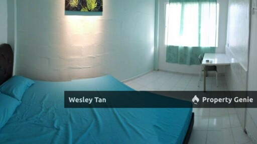 Anika Bachang Flat 3 Rooms Renovated & Furnished Mid Floor Split Meter
