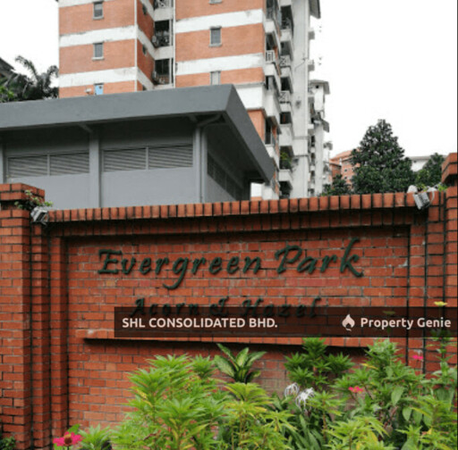 Evergreen Park Acorn and Hazel
