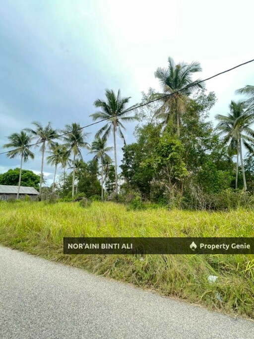SEA FRONTAGE & Tepi Jalan Utama Sg Ular-Cherating, Kuantan