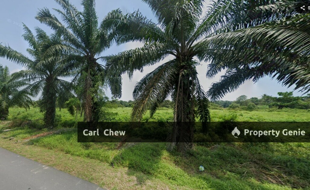 Land For Rent @ JERAM